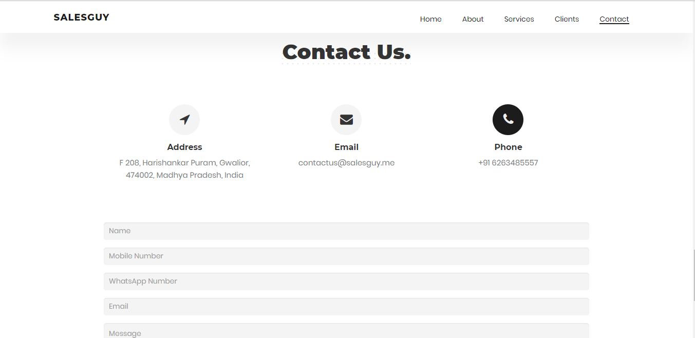 SalesGuy Website Screenshot