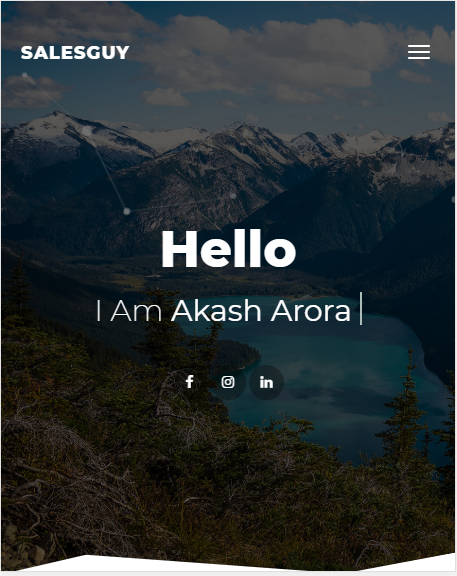 SalesGuy Website Screenshot